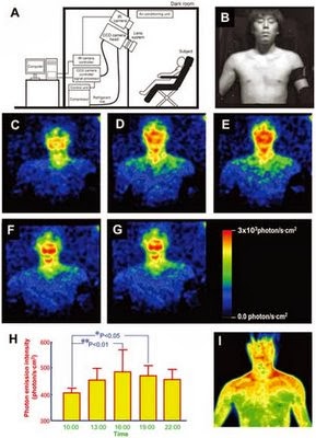 Hexer Maran: Die Aura sehen - nun wissenschaftlich belegt