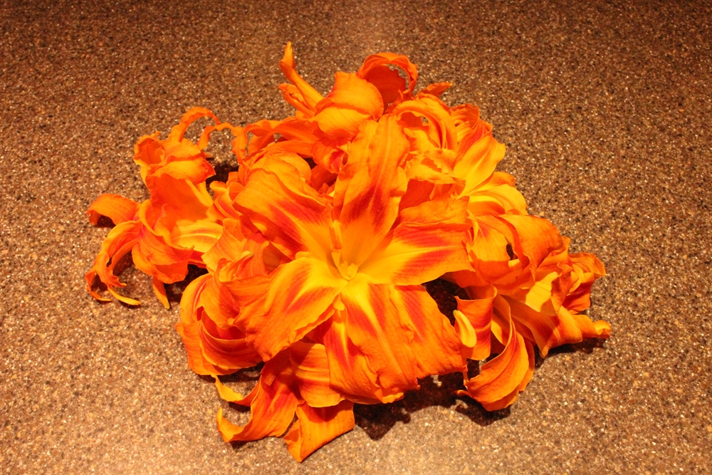 ItalianFusion Fried Daylily Flowers with Ricotta