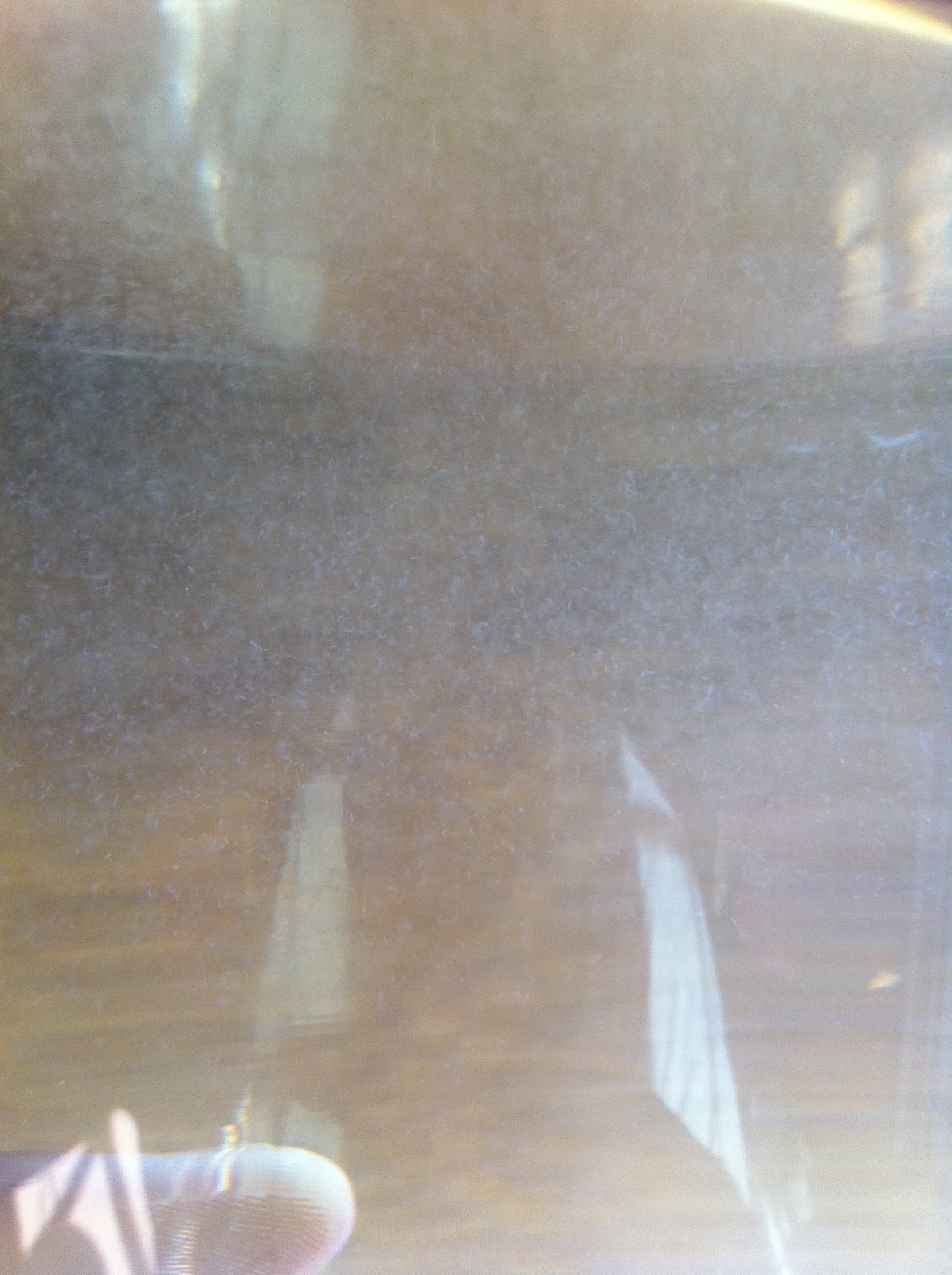 Happy Guppies Vinegar Eels (Live Fish Food)