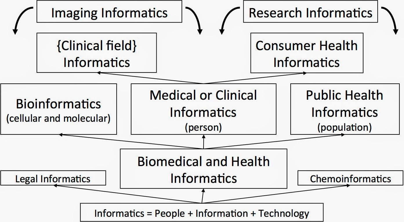 Informatics essay