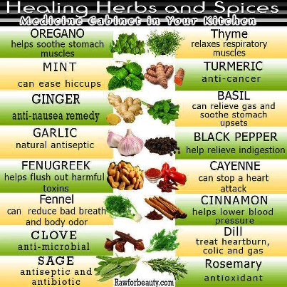 https://2.bp.blogspot.com/-PzEtPgZRc6A/UVGx9MTovfI/AAAAAAAAGqM/WH2XsSQln18/s1600/herbal+remedies+chart.jpg
