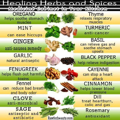 Herbs And Spices Chart