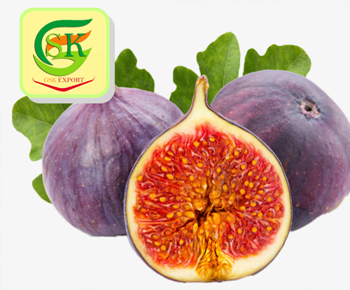 så meget bekræfte mørke Export-import Fruits and Vegetables Manufacturer here the GSK export  Company in India: figs