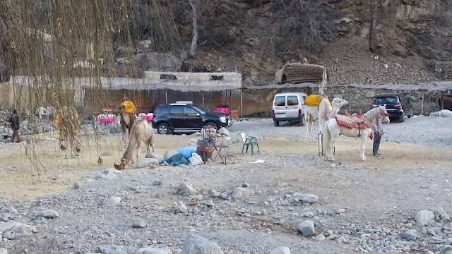 Setti Fatma (Valle del Ourika)
