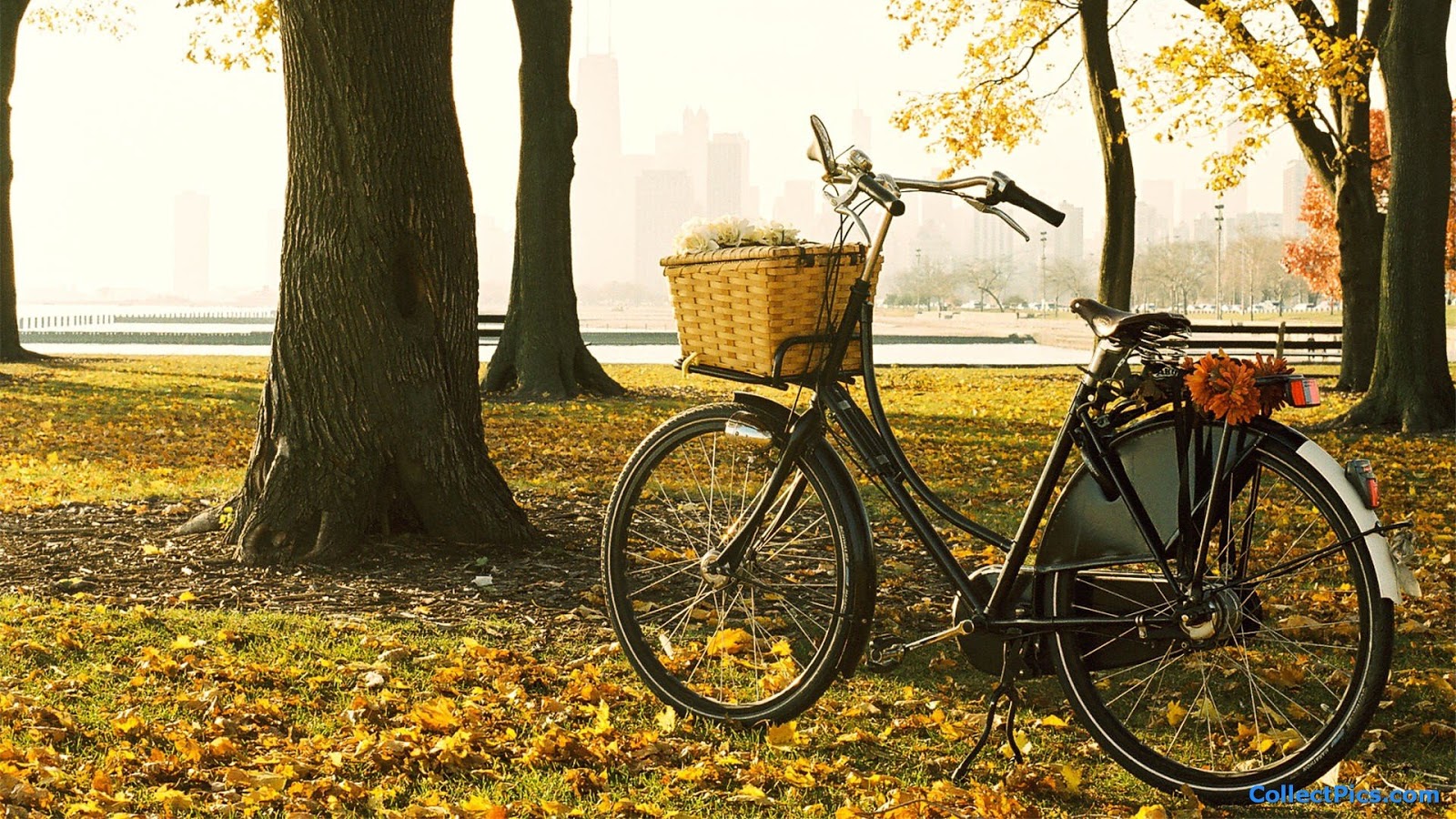 10 Unique Bicycle HD Wallpapers for Wonderful Background 