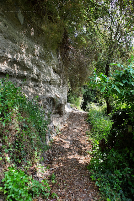 Baia della Pelara, Foto Ischia, Paesaggi Ischitani, Sentieri di Ischia, Baie di Ischia, trekking Ischia, 