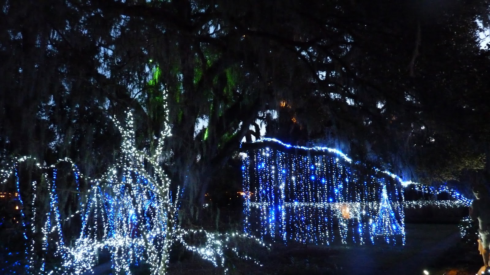 Night of A Thousand Candles