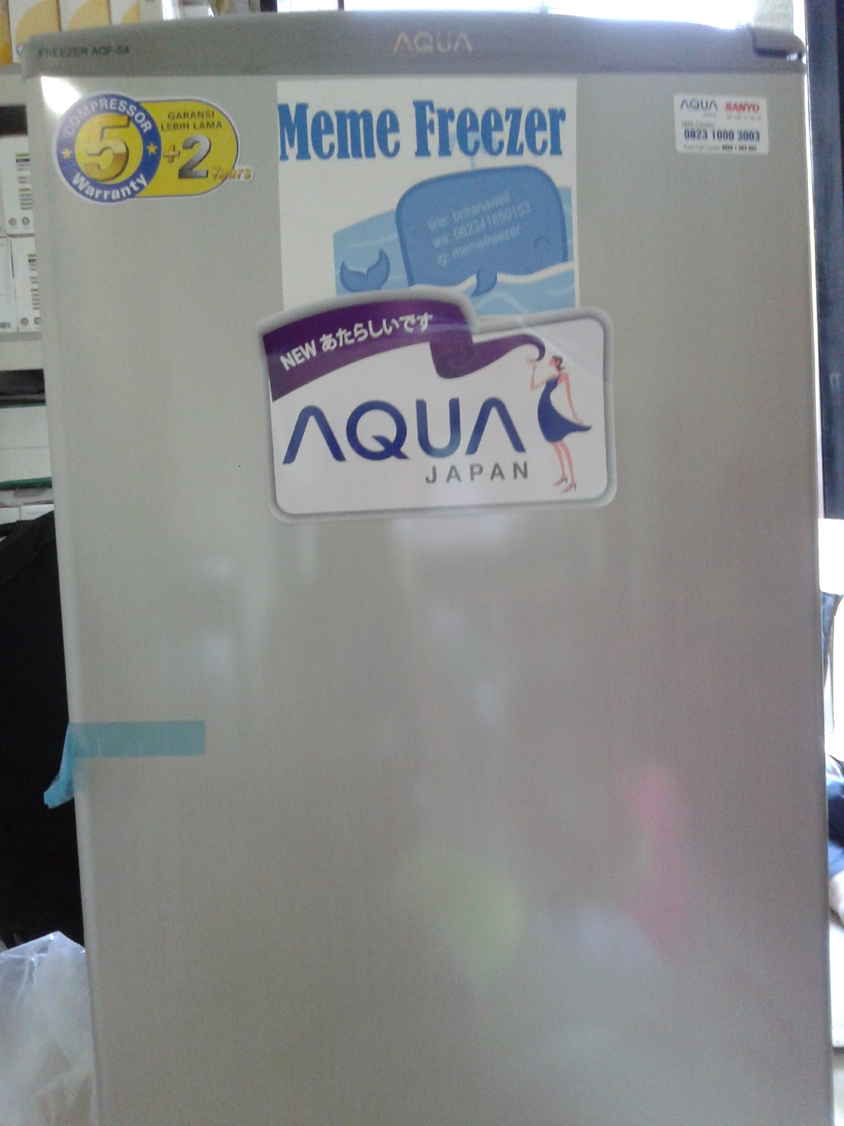Sewa Freezer Box Di Bali