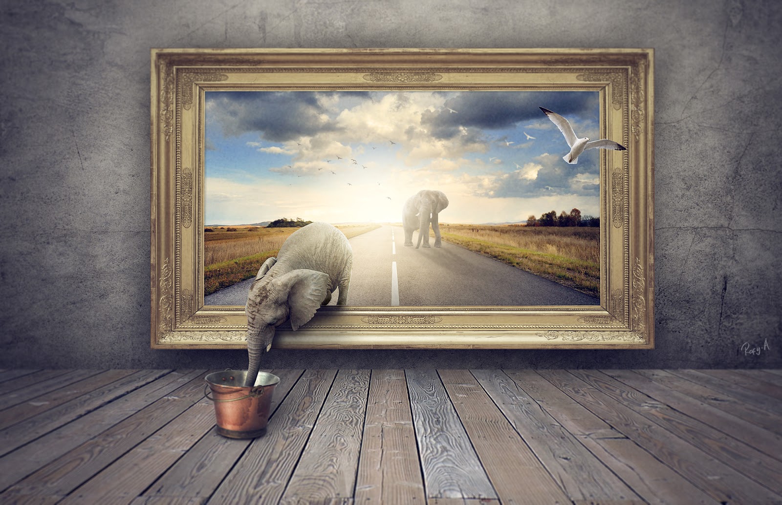 Out Of Frame Manipulation Tutorial Processing rafy A