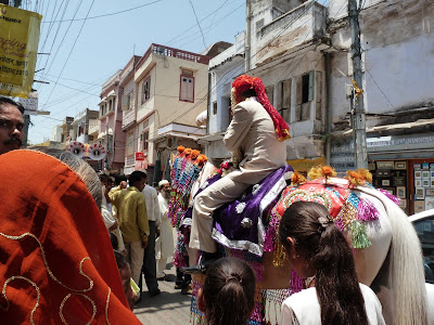Día 8. Udaipur. - Indiaren ametsa (El sueño de India) (10)