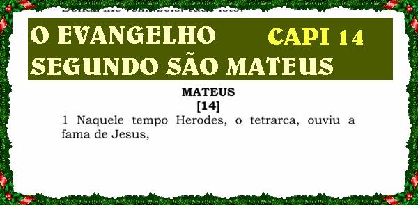 O EVANGELHO SEGUNDO SÃO MATEUS CAPI 14