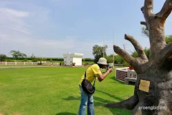 hemelboom ereveld ancol jakarta