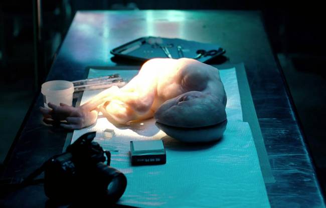 Βρετανοί επιστήμονες έχουν ήδη δημιουργήσει πάνω από 150 υβριδικά έμβρυα ανθρώπου ζώου!
