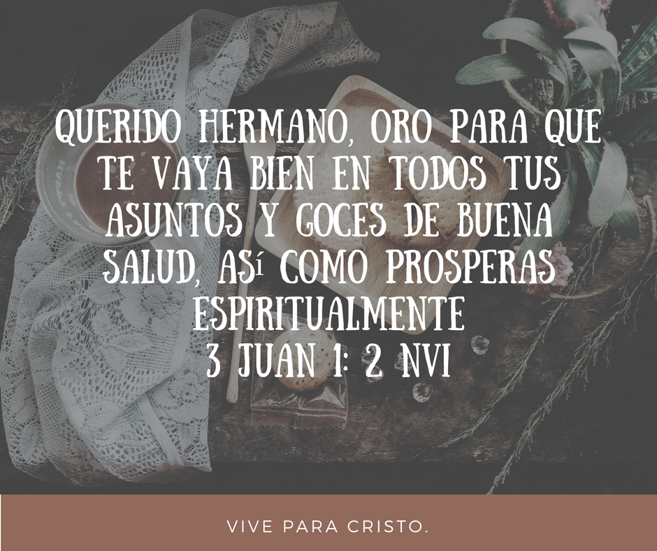 Vive Para Cristo Bases Solidas