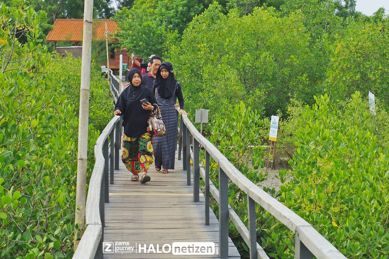 Keren Hutan Mangrove Cantik Ini Berada Di Labuhan Sepuluh Madura Halonetizen