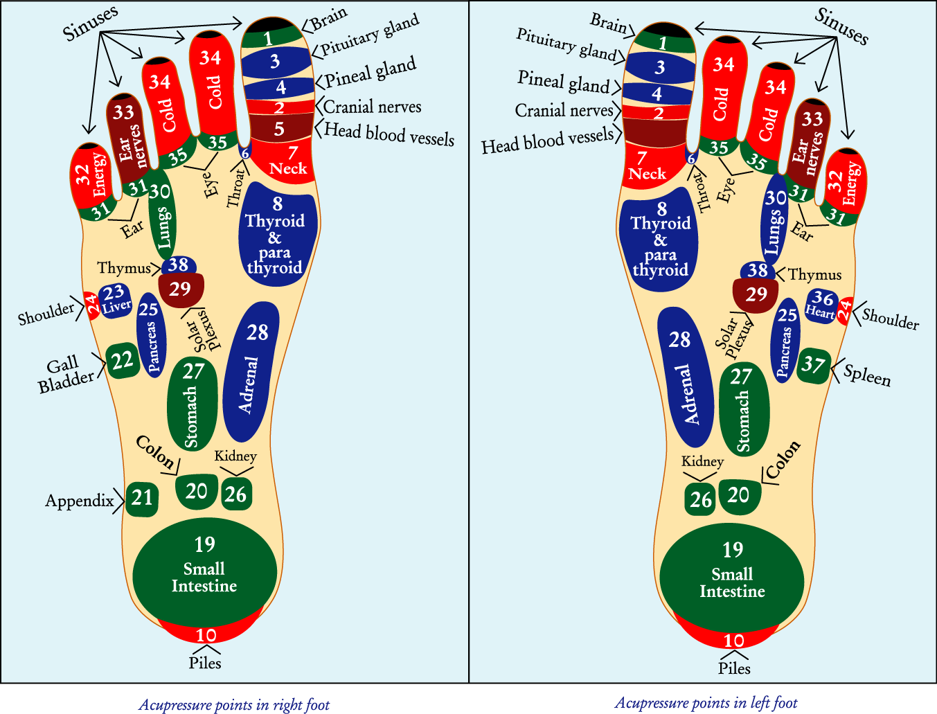 Acupressure : Cure Without Medicine: March 2013