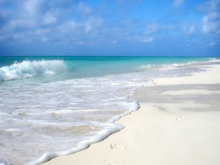 playa-caribeña-de-aguas-cristalinas-y-fina-arena-blanca