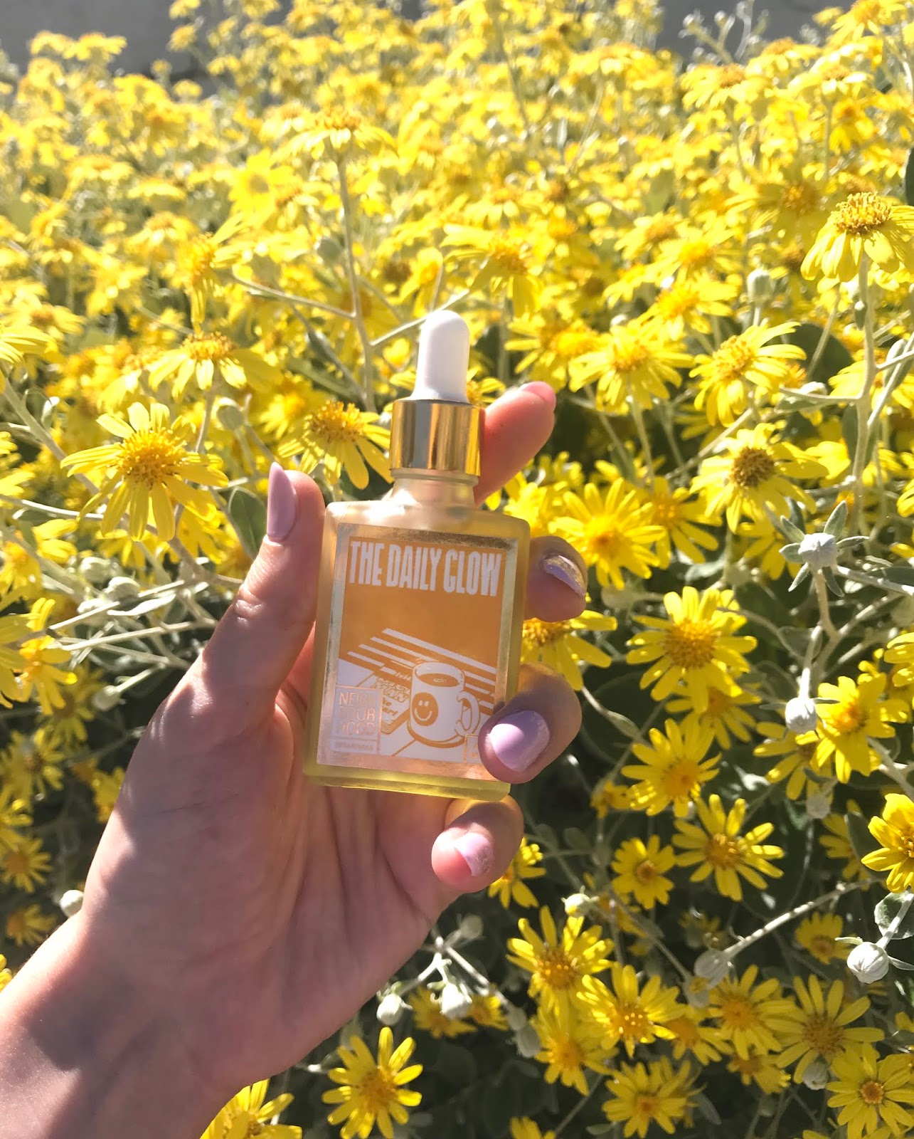 glow in a bottle: the daily glow by neighbourhood botanicals
