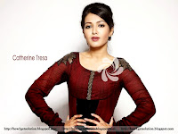 amature catherine tresa wallpaper hd, catherine posing for camera in brown outfit