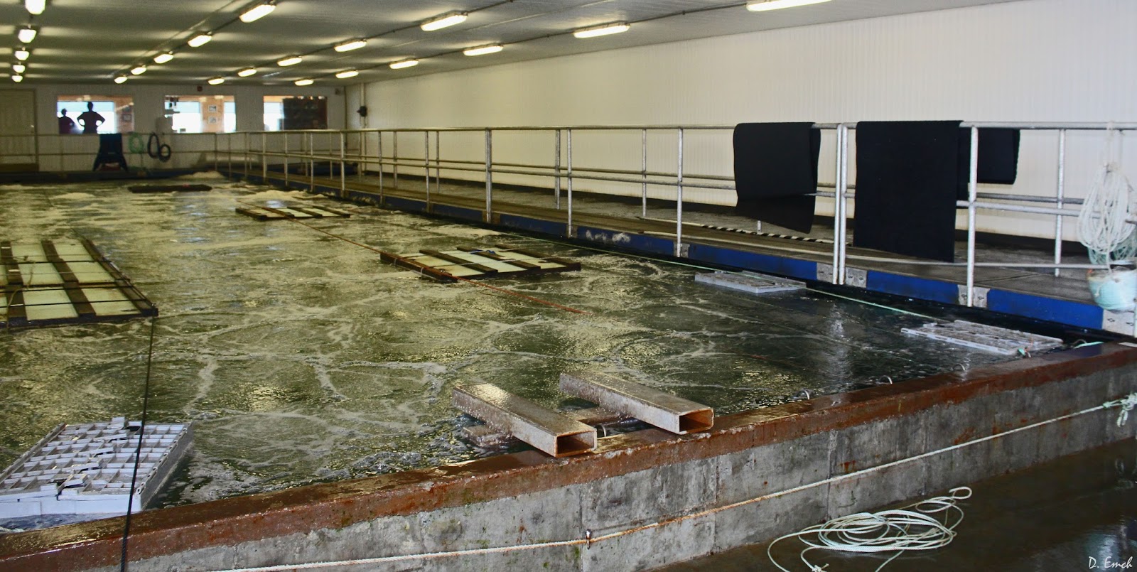 Capture America Journal Maine Eastport Lobster fishing