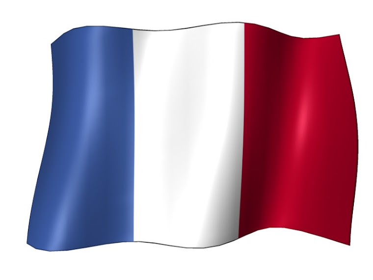 Le drapeau de la France