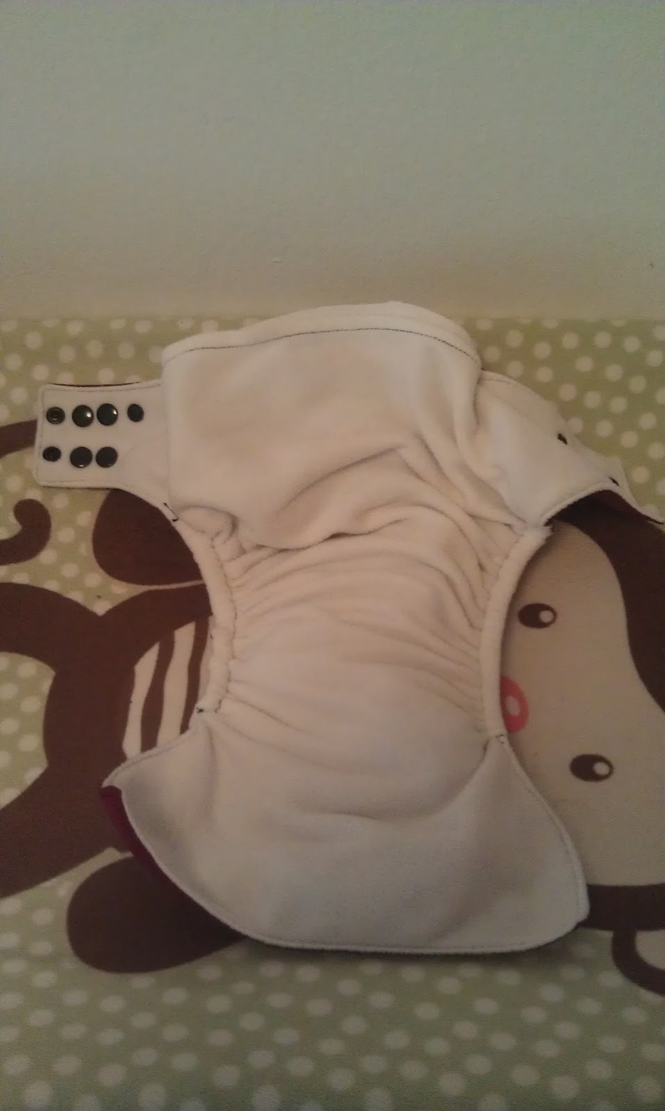 Little Lambs Cloth Diaper Review CutesyTushies