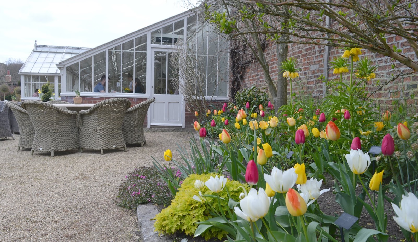 Sunday Lunch at Bradley Gardens, Wylam New Girl in Toon