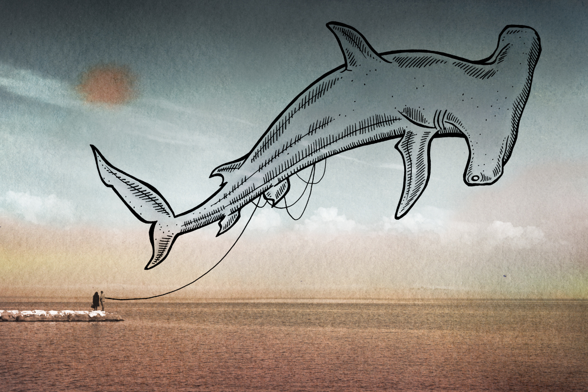 10-Hammerhead Shark-Giulia-Pex-Human-Body-and-the-Ocean-Drawings-on-Photos-www-designstack-co