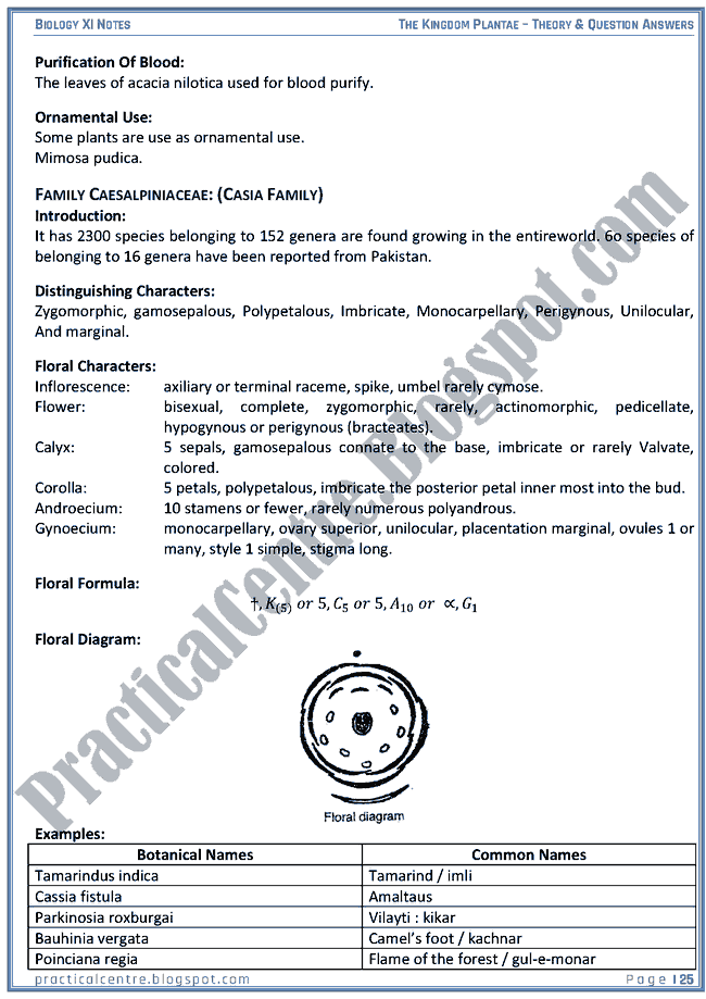 Kingdom Plantae - Theory And Questions Answers - Biology XI