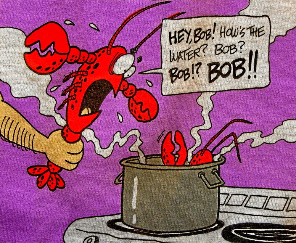 Evolutionary Stories Do Lobsters Feel Pain?