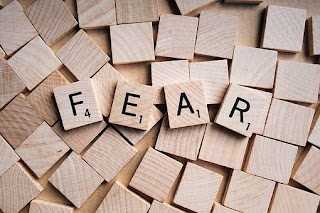 fear-www.healthnote25.com