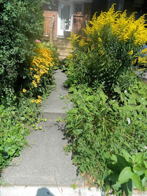 Deer Park summer garden cleanup before by Paul Jung Gardening Services Toronto Deer Park summer garden cleanup before by Paul Jung Gardening Services Toronto