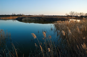 Ivars d'Urgell pond in Lleida, Catalonia