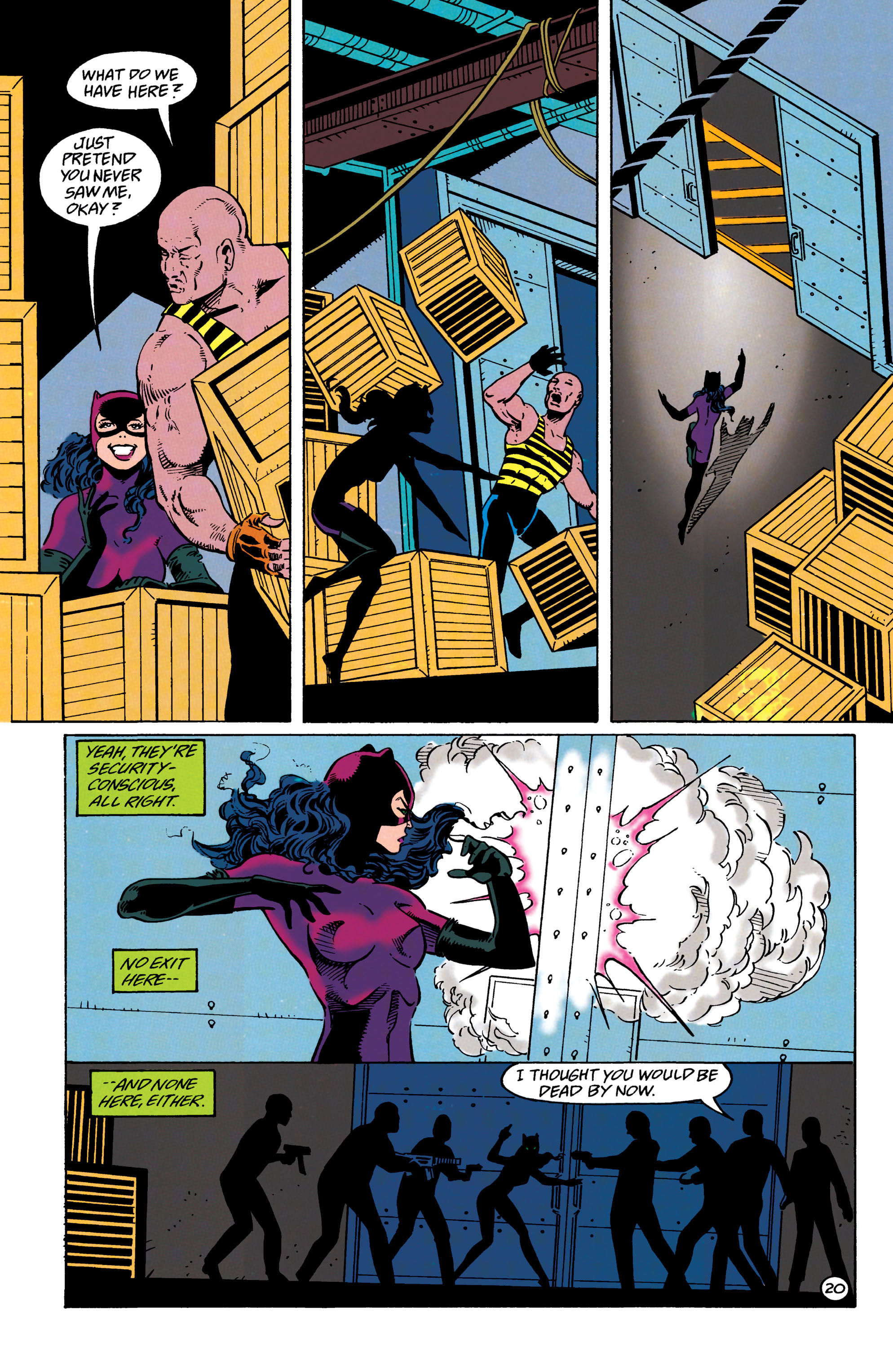 Catwoman (1993) Issue #23 #28 - English 21