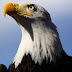 Republicans Launch Attempt To Repeal Endangered Species Act
