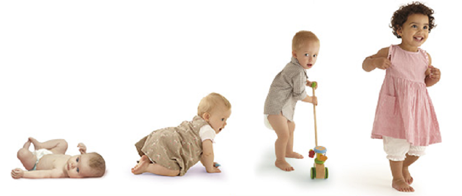 Ozel Egitim Ozel Egitimci Tuvalet Egitiminde Dogru Bilinen Yanlislar