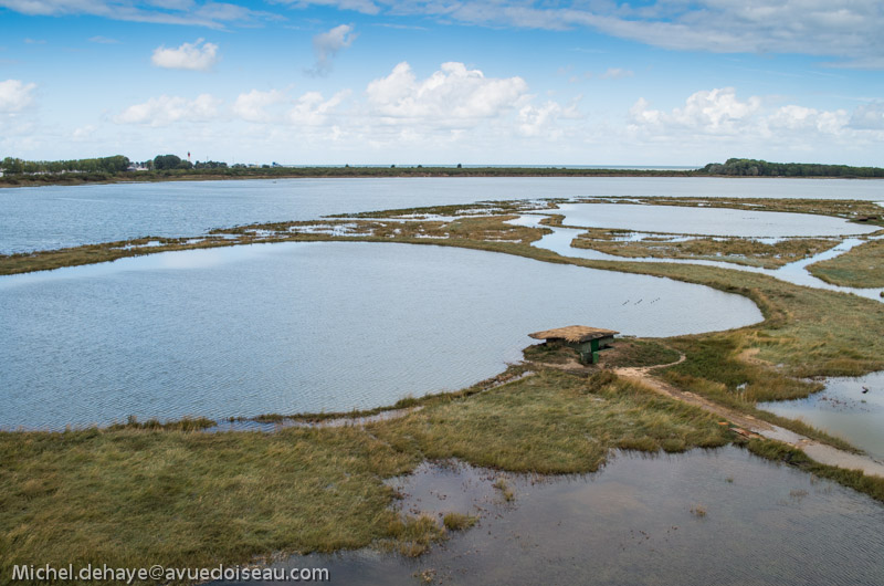 Grandes marées sur la baie de Sallenelles