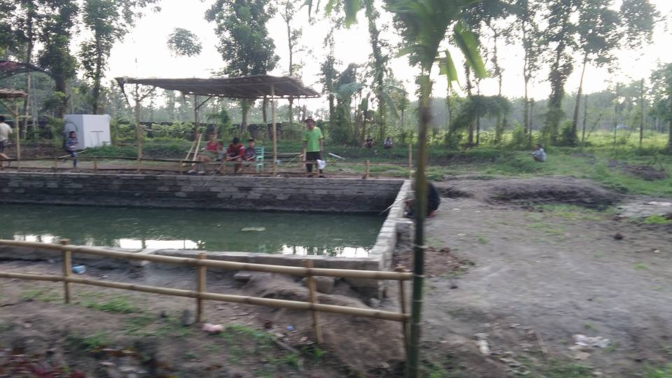 Kakao di Kebun Renteng