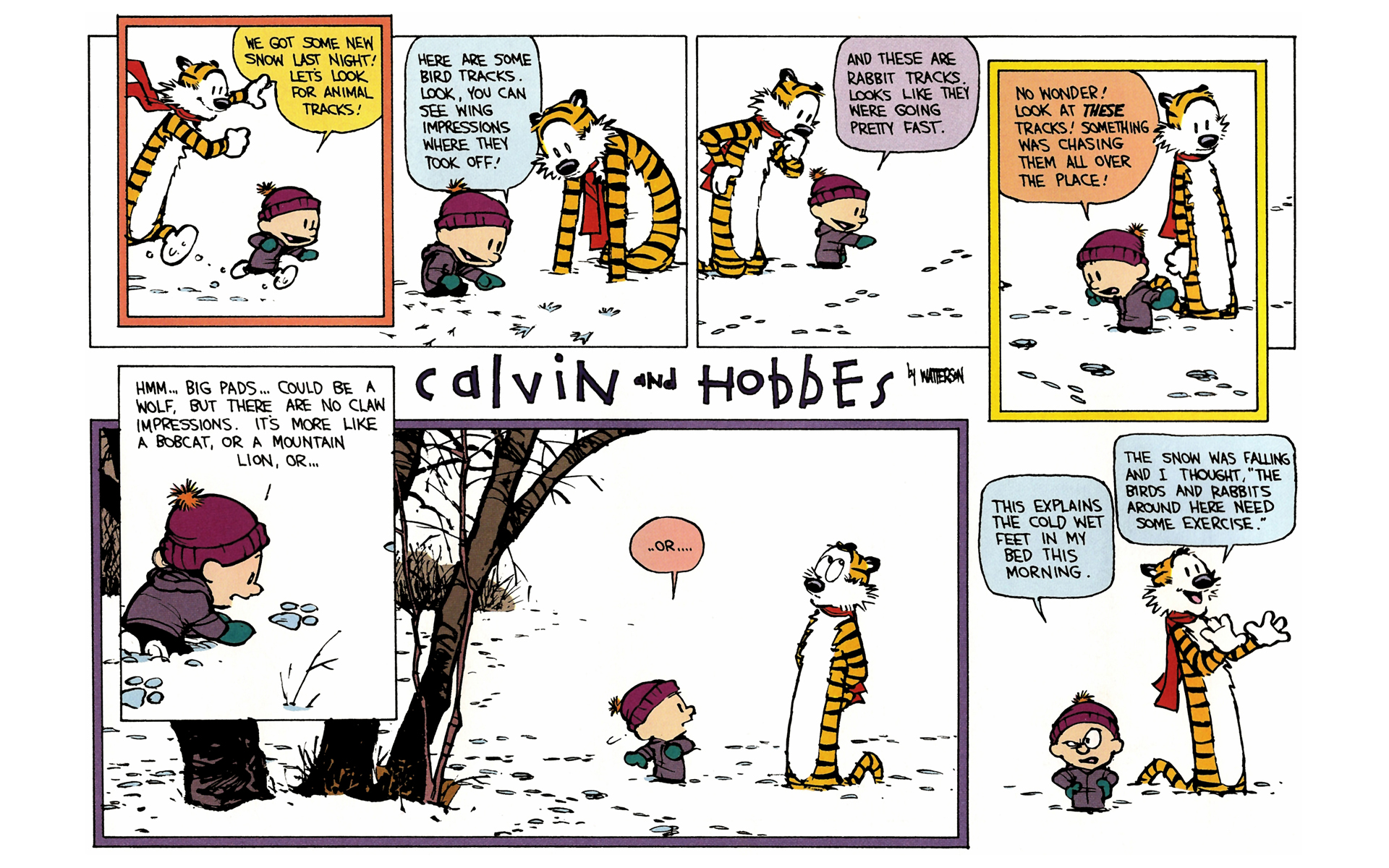 Read online Calvin and Hobbes comic -  Issue #10 - 78