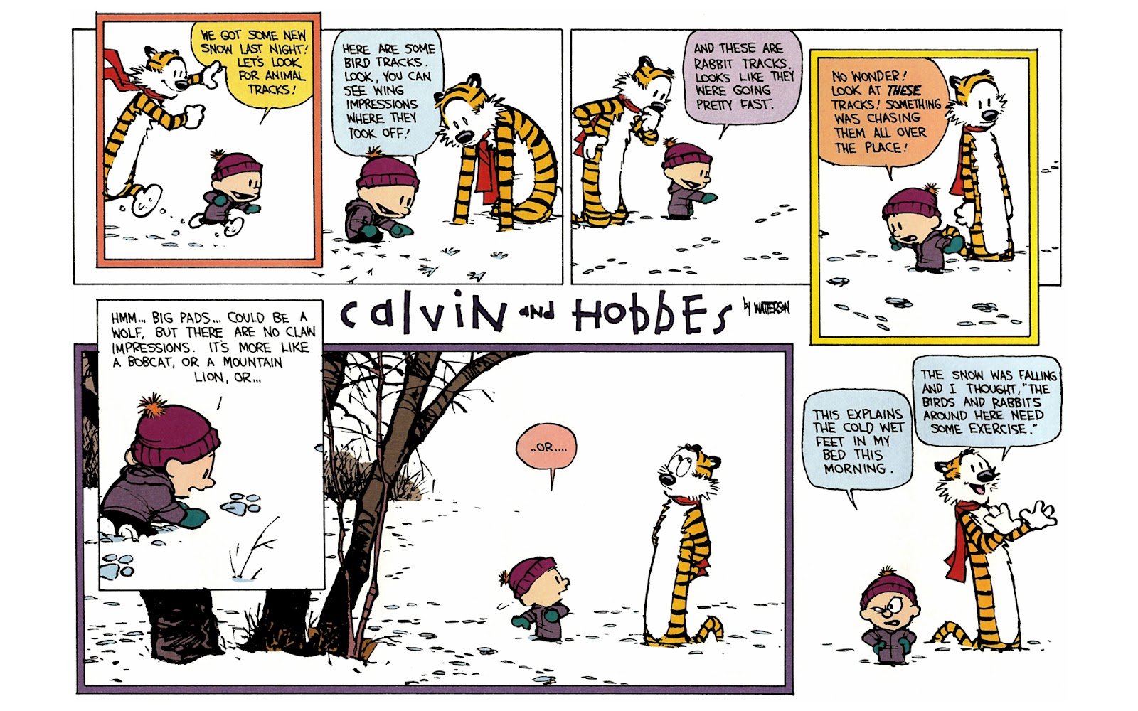 Calvin and Hobbes issue 10 - Page 78