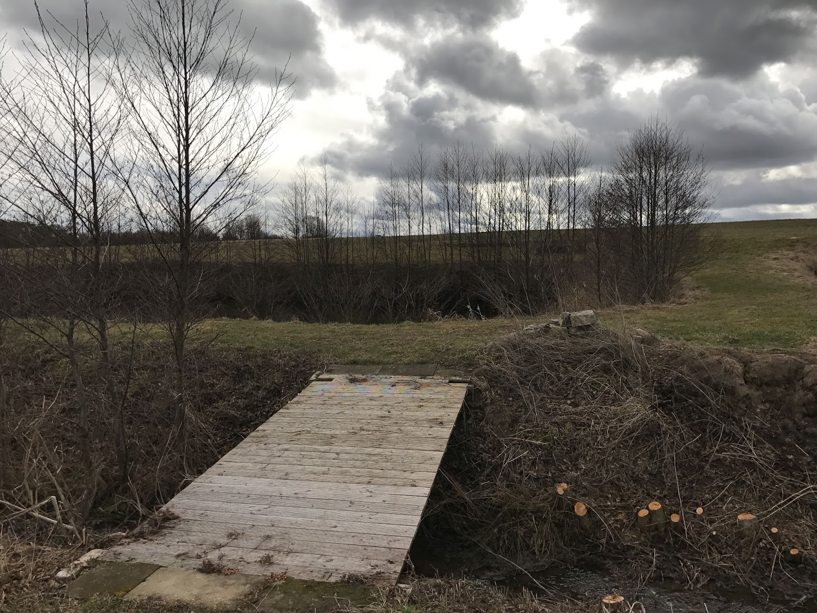 Achimsgarten Der Selbstversorger Und Garten Blog Page 18 Chan