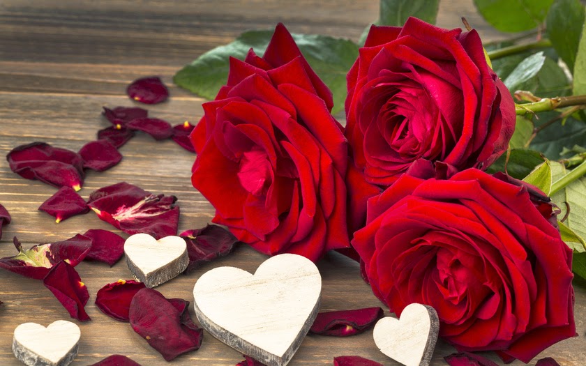 fotos hermosas de corazones y rosas fotos bonitas de rosas y corazones imagenes