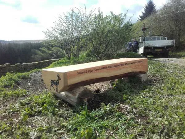 New bench at Laughter Hole, Bellever Moor and Meadows. Photo copyright Devon Wildlife Trust (All rights reserved)