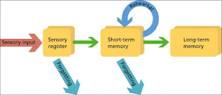 memory terms