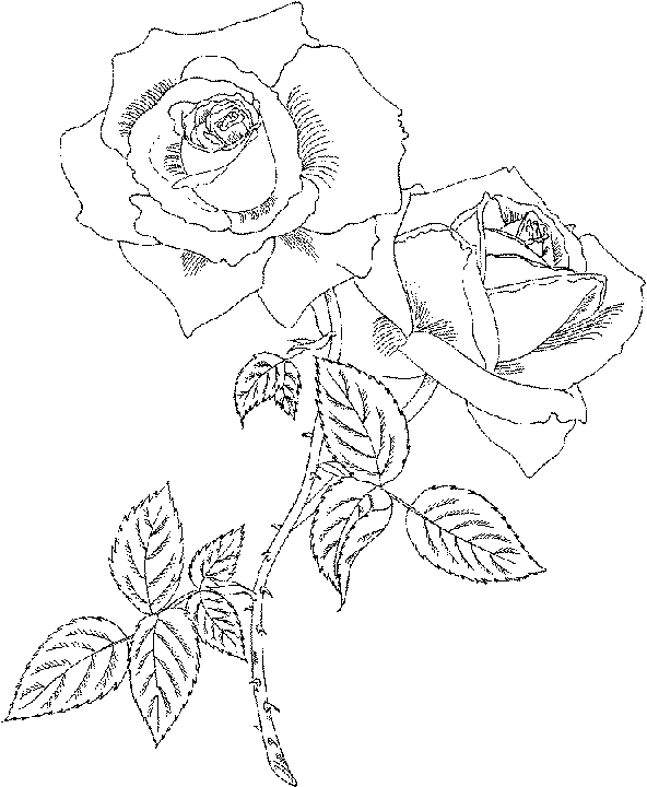 flower coloring pages holiday.filminspector.com
