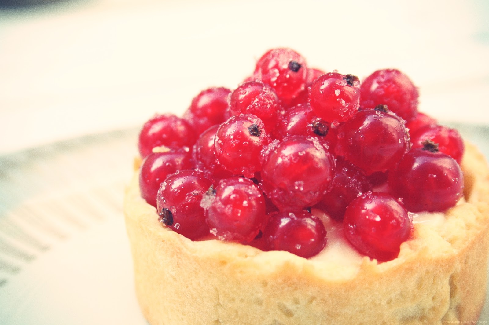 glückSEEligkeit: Johannisbeer-Tartelettes mit Vanillecreme