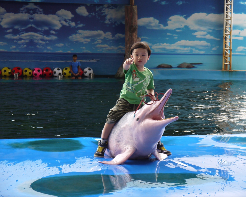 Дельфинарий в тайланде Дельфинарий в тайланде