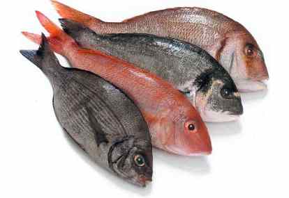 Harga Ikan Melambung Website Resmi Pemerintah Kabupaten Pati