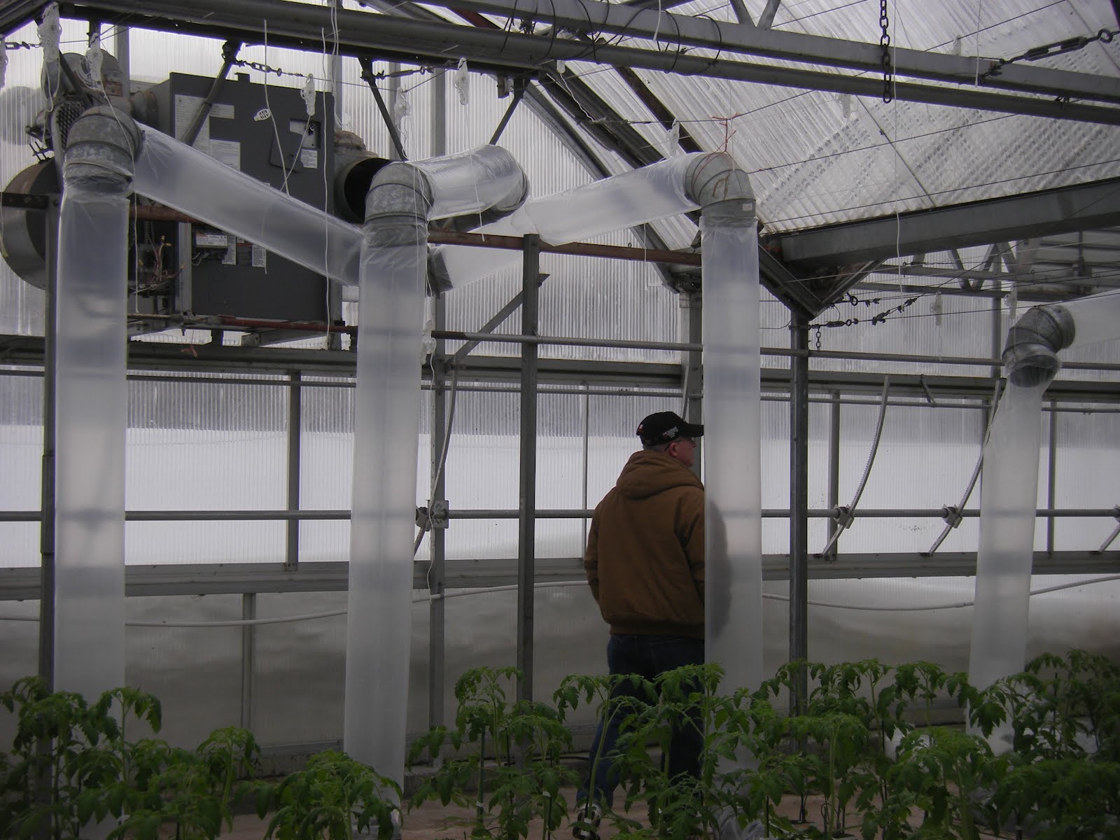 Carters In Alaska Greenhouse Visit in Anchorage March 2,2012