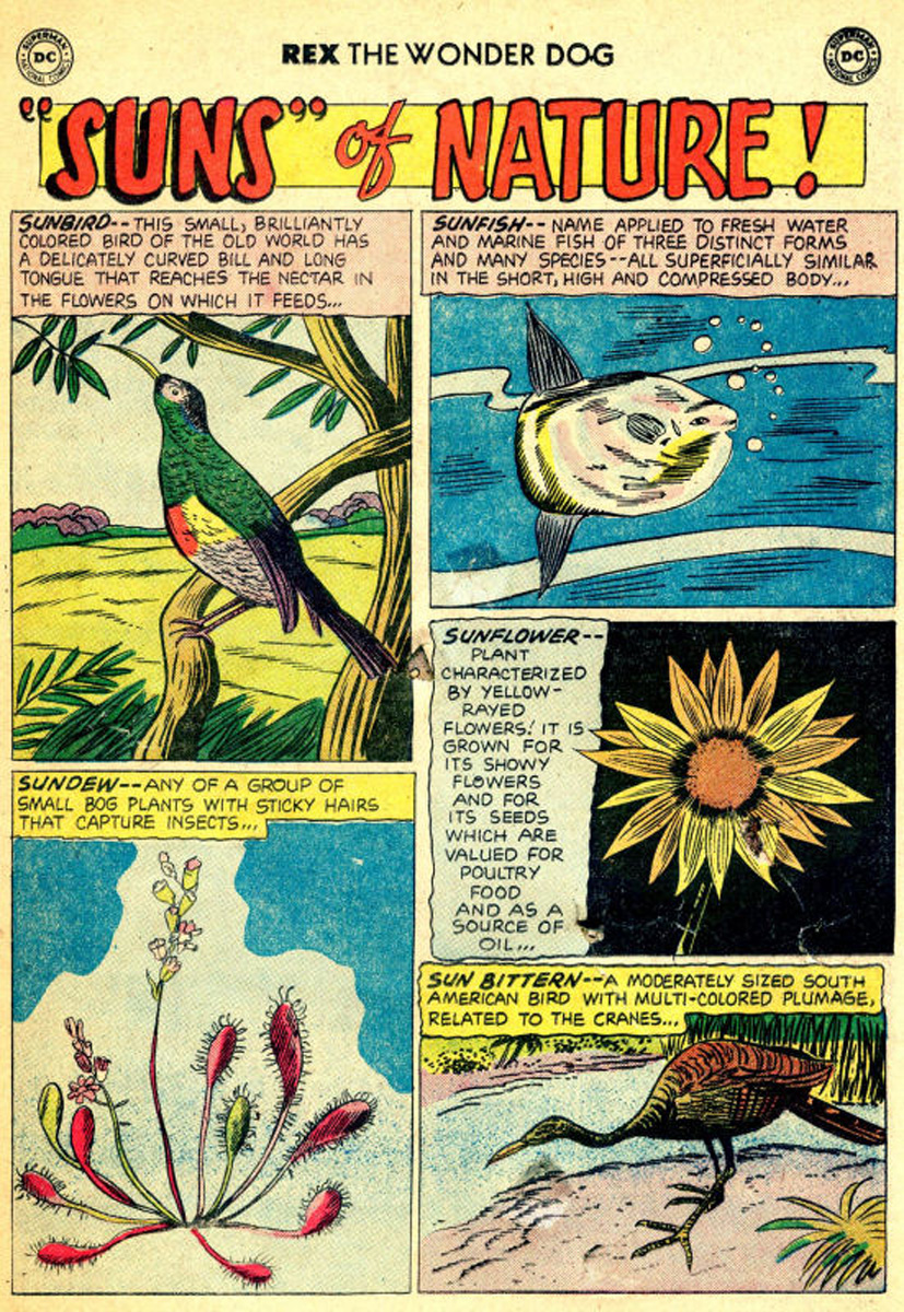 Read online The Adventures of Rex the Wonder Dog comic -  Issue #45 - 21
